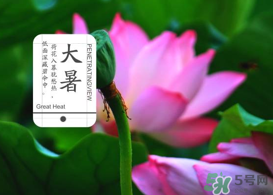 大暑和處暑是什么意思？大暑熱還是處暑熱？
