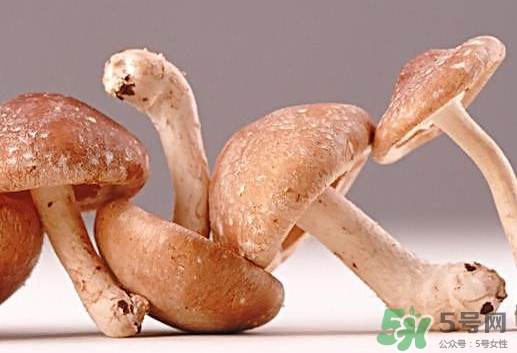 什么病不能吃香菇？香菇不能和什么一起吃