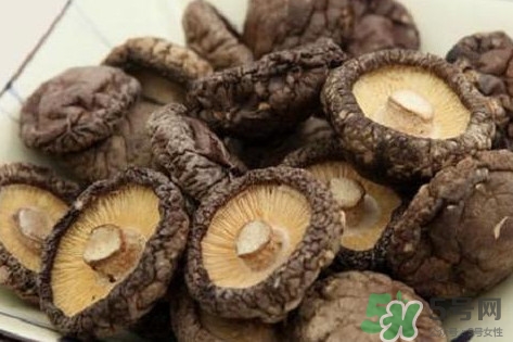 香菇是蘑菇嗎？香菇和蘑菇有什么區(qū)別