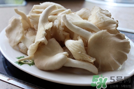 平菇怎么吃最有營養(yǎng)？平菇長白毛還能吃嗎