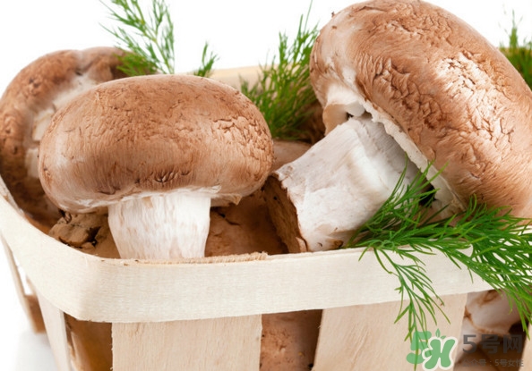 買(mǎi)香菇怎么挑選？干香菇怎么挑選？
