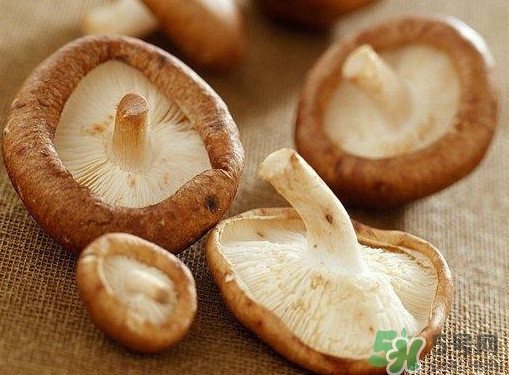 買(mǎi)香菇怎么挑選？干香菇怎么挑選？