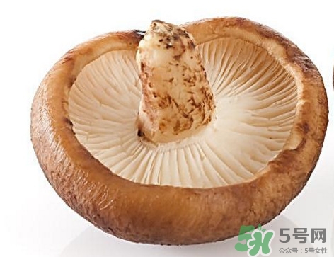 什么病不能吃香菇？香菇不能和什么一起吃