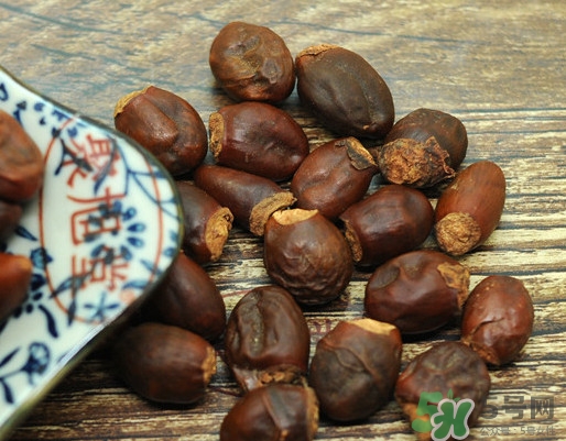 龍眼核能種嗎？龍眼核怎么種盆栽