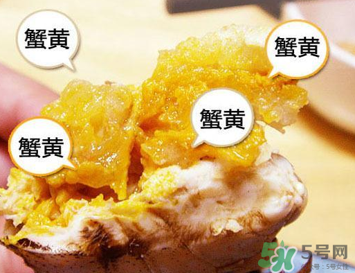 六月黃大閘蟹好吃嗎？六月黃和大閘蟹有什么區(qū)別？