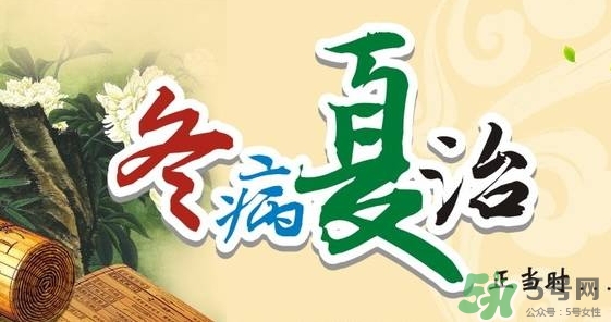 三伏灸要灸幾次？三伏灸要灸多久？