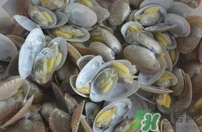 花蛤蜊什么時候最肥？花蛤蜊怎么挑選