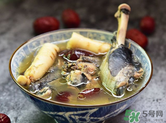 三伏天可以吃人參嗎？三伏天吃人參好嗎？