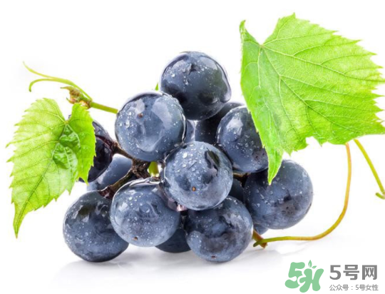 夏黑葡萄為什么掉色？夏黑葡萄怎么會染色？