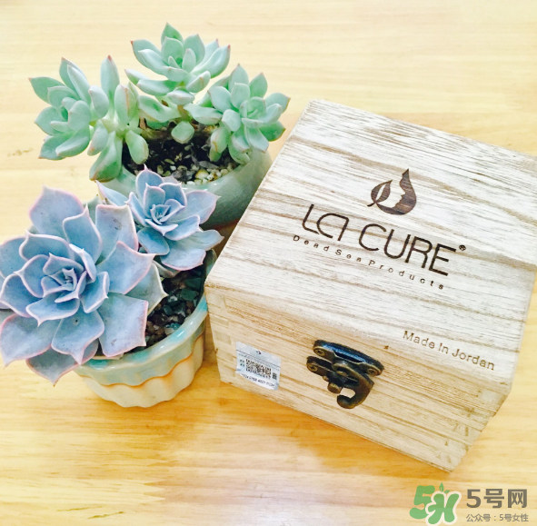 天然死海礦物泥面膜怎么樣？天然死海礦物泥面膜好用嗎？