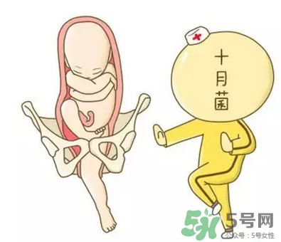 胎位不正能順產(chǎn)嗎？胎位不正怎么辦？