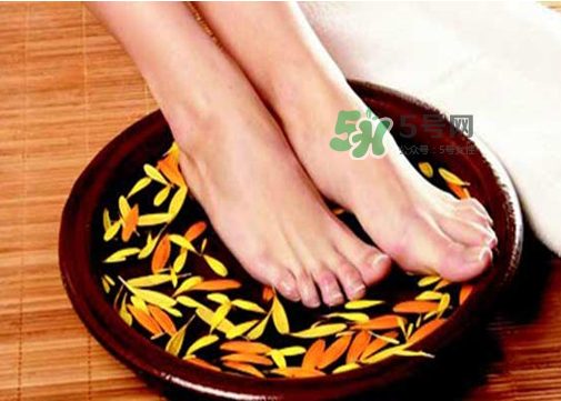 三伏天能用姜泡腳嗎？三伏天用姜泡腳好嗎？
