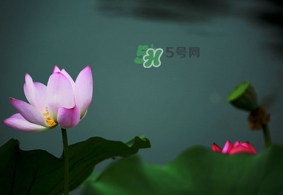 2017中伏最熱嗎？ 2017初伏中伏末伏哪個(gè)最熱？