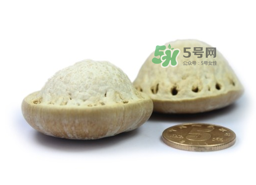 風流果泡酒要不要敲碎？壯陽果泡水要不要敲碎？