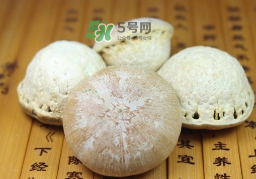 風流果泡酒要不要敲碎？壯陽果泡水要不要敲碎？