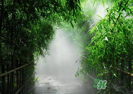 2017大暑會不會下雨？2017大暑下雨好嗎？