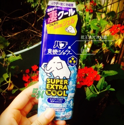 花王kao冰片沐浴露怎么樣？花王冰片沐浴露哪款好？