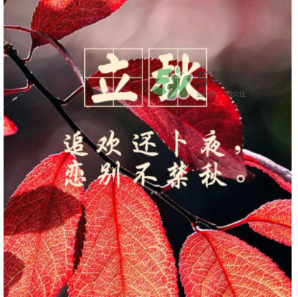 立秋后就是秋天了嗎？立秋后就涼快了嗎？