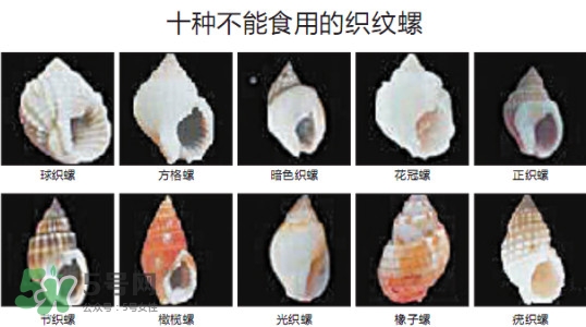 哪些人不能吃田螺？哪些田螺不能吃