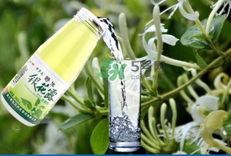 金銀花露怎么打開(kāi)？金銀花露能降火嗎
