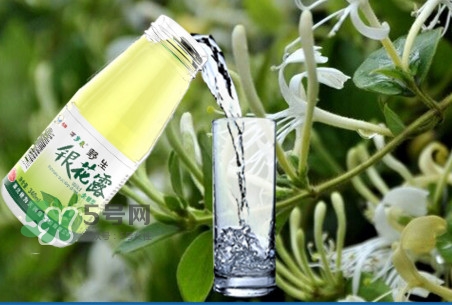 金銀花露是涼性的嗎？喝金銀花露有什么好處