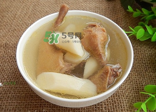 三伏天能吃鴿子嗎？三伏天能喝鴿子湯嗎？
