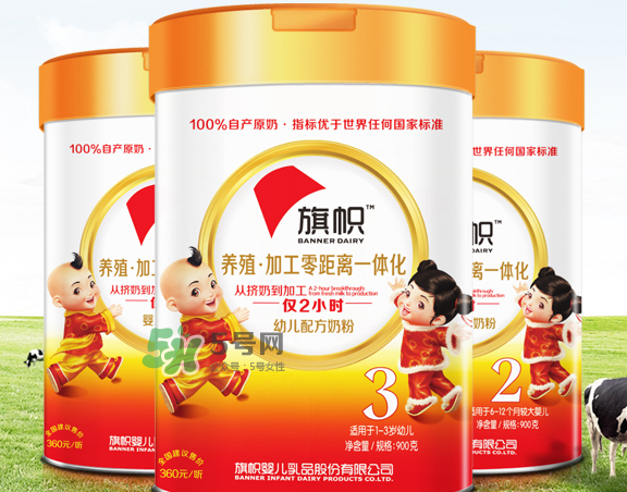 旗幟奶粉怎么樣？旗幟奶粉好不好？