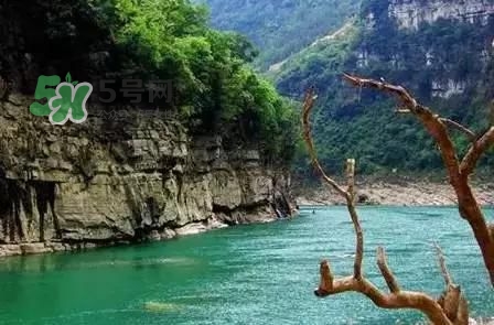 漂流需要準(zhǔn)備什么東西？漂流哪里最好玩？