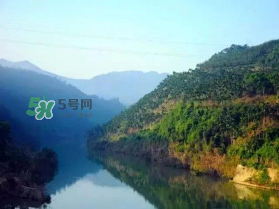 漂流需要準(zhǔn)備什么東西？漂流哪里最好玩？