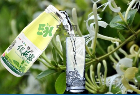 金銀花露可以冷藏嗎？金銀花露能放冰箱嗎？