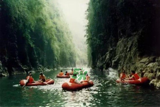 漂流需要準(zhǔn)備什么東西？漂流哪里最好玩？