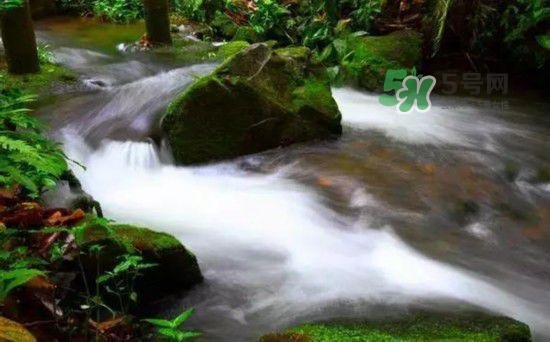 漂流需要準(zhǔn)備什么東西？漂流哪里最好玩？