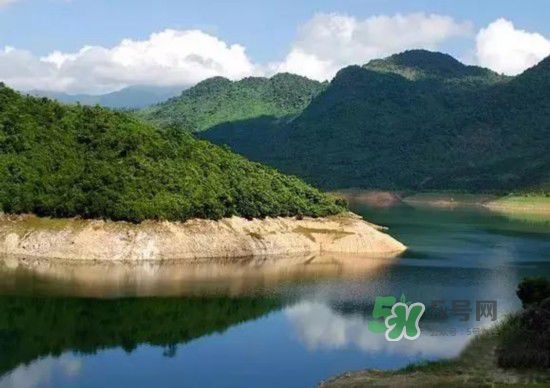 漂流需要準(zhǔn)備什么東西？漂流哪里最好玩？