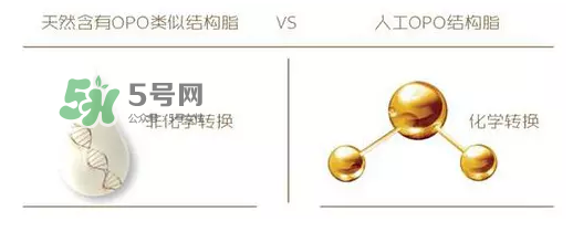奶粉里面的OPO是什么？opo是天然的還是后期添加的？