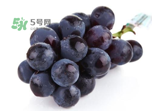 巨峰葡萄是酸性還是堿性？巨峰葡萄是堿性的嗎？