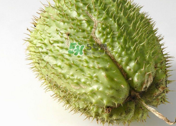 刺果番荔枝多少錢一斤？刺果番荔枝哪里有賣？
