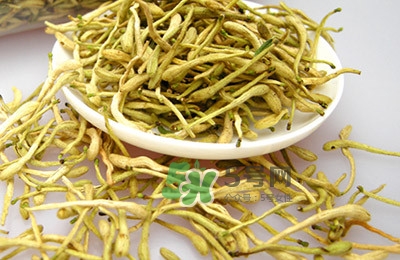金銀花茶是去火的嗎？金銀花茶有什么功效與作用