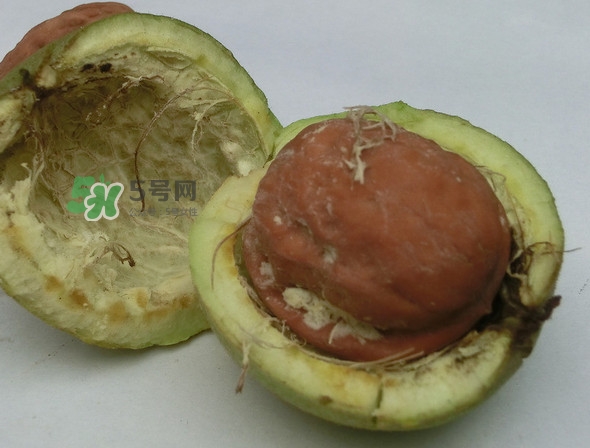 青皮核桃是怎么變成干核桃的？吃核桃為什么有酒味