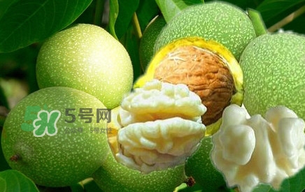 青皮核桃?guī)捉锍鲆唤锔珊颂?？青皮核桃什么時(shí)候成熟