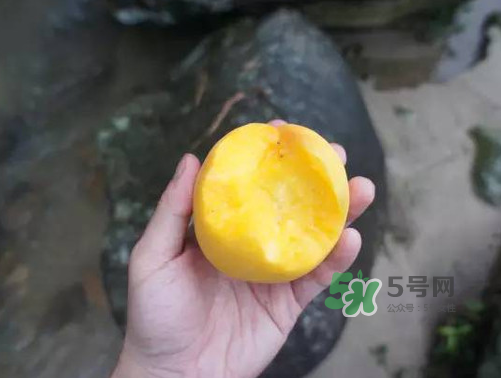 炎陵黃桃什么時候成熟？炎陵黃桃好吃嗎？