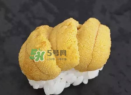 海膽怎么處理？海膽可以生吃嗎？