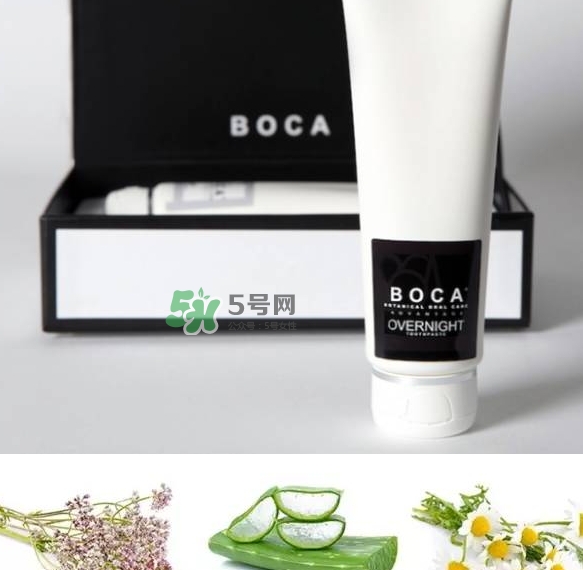 boca牙膏是什么牌子？boca牙膏多少錢哪里買？