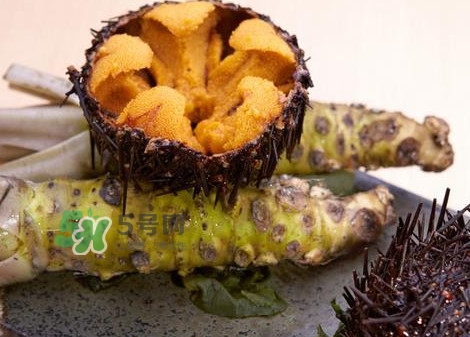 被海膽刺到怎么辦？吃海膽對身體有什么好處
