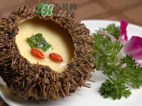 海膽死了還能吃嗎？海膽不能跟什么一起吃