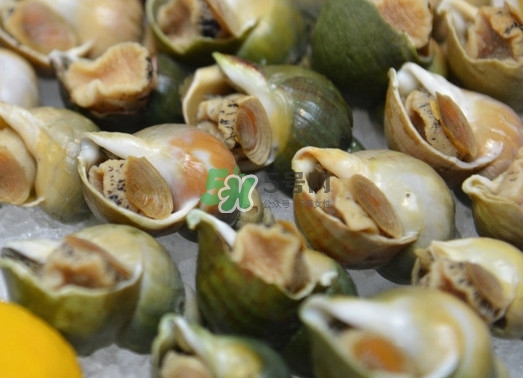 海螺怎么做好吃？海螺怎么清洗干凈