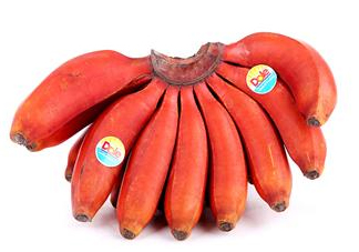 紅香蕉是哪里的特產(chǎn)？紅香蕉什么時(shí)候成熟？