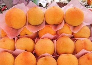 錦繡黃桃什么時候成熟？錦繡黃桃?guī)自鲁墒欤?><p><strong>錦繡黃桃什么時候成熟？錦繡黃桃?guī)自鲁墒欤?/strong></p></a></li> <li><a href=