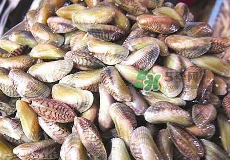 海瓜子煮多久能熟？海瓜子為什么放在水里殼不張開(kāi)