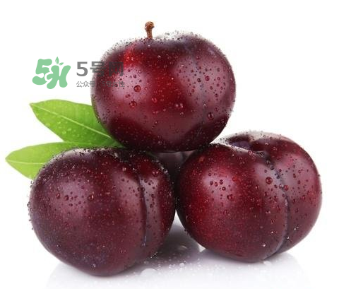 黑布林可以泡酒嗎？黑布林怎么吃？