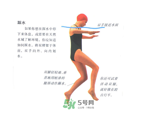 游泳怎么踩水？游泳踩水技巧圖解